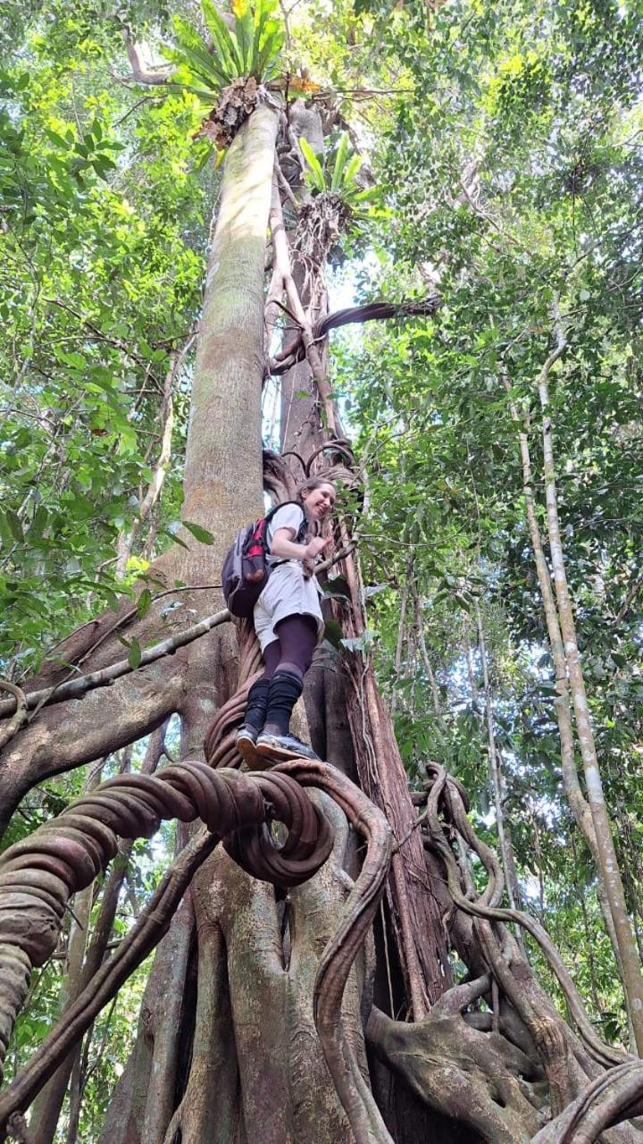 Batu Kapal Guest House & Jungle Trekking بوكيت لاوانج المظهر الخارجي الصورة