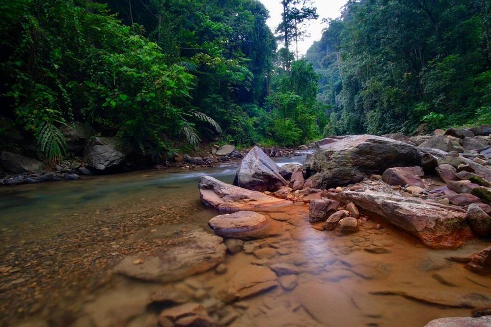 Batu Kapal Guest House & Jungle Trekking بوكيت لاوانج المظهر الخارجي الصورة