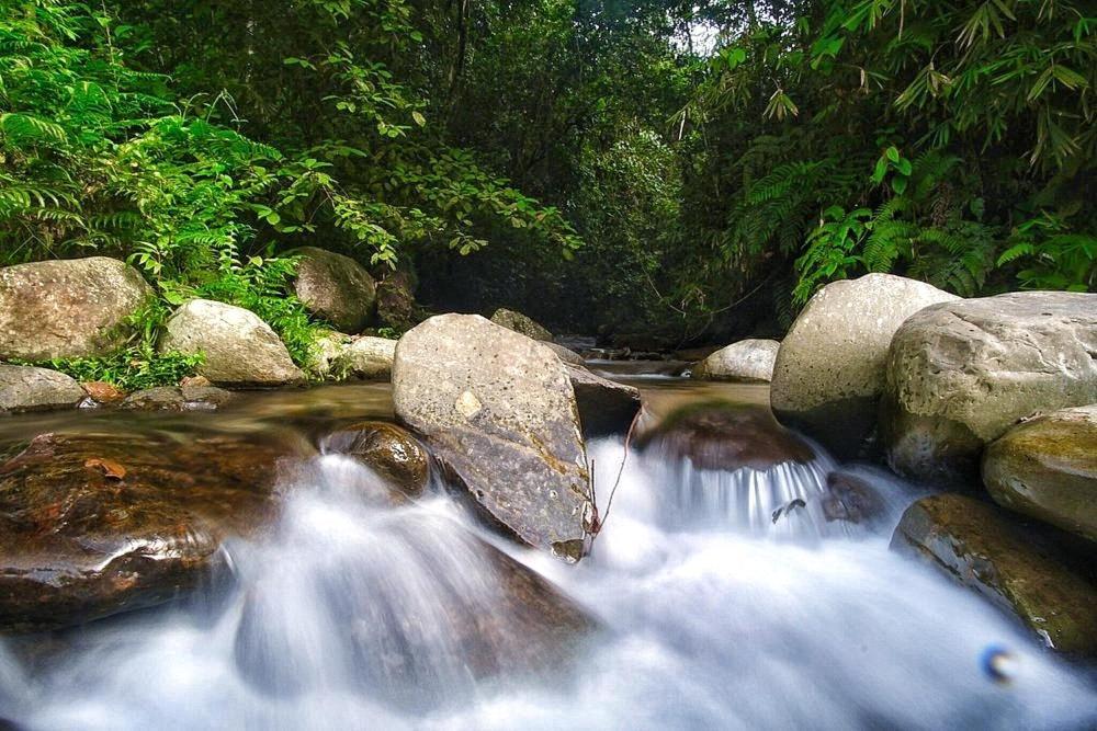 Batu Kapal Guest House & Jungle Trekking بوكيت لاوانج المظهر الخارجي الصورة