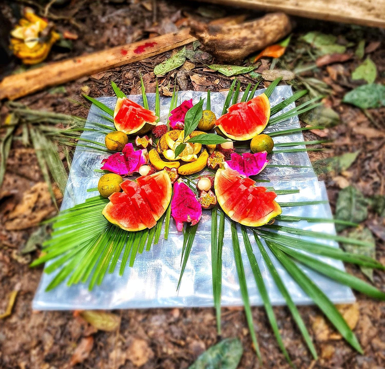 Batu Kapal Guest House & Jungle Trekking بوكيت لاوانج المظهر الخارجي الصورة