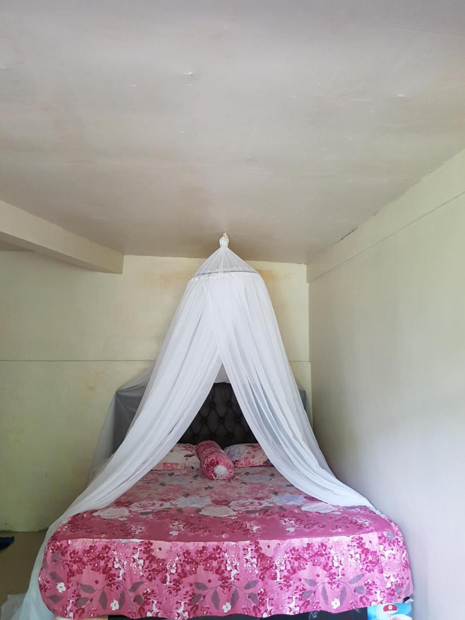 Batu Kapal Guest House & Jungle Trekking بوكيت لاوانج الغرفة الصورة