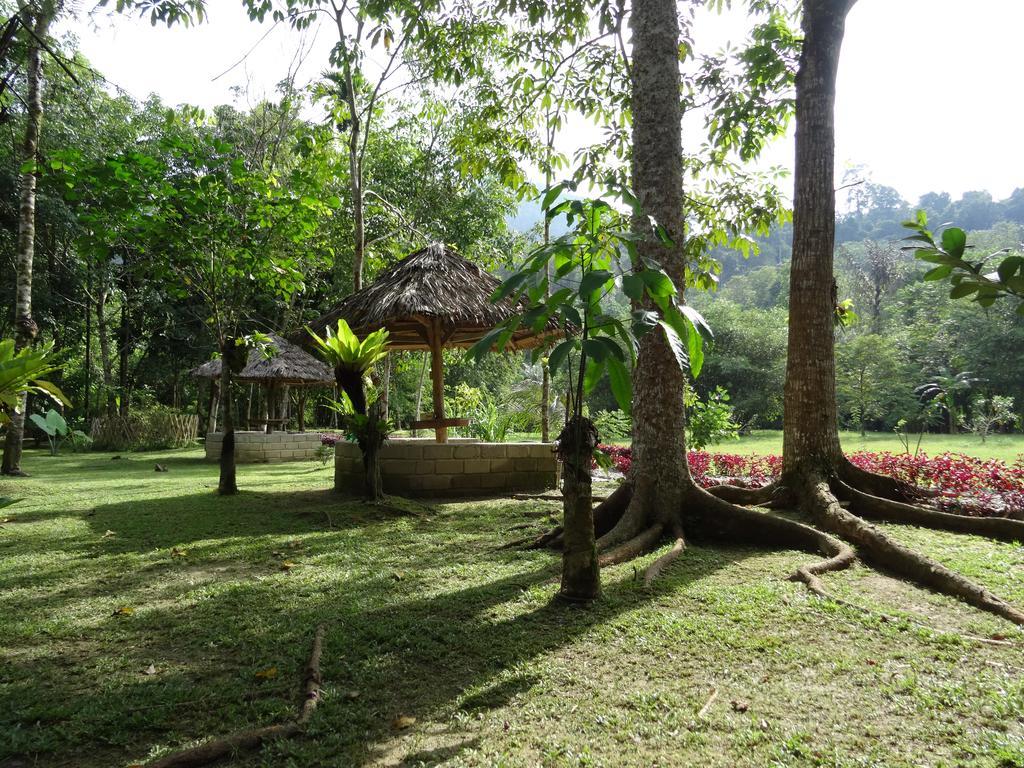 Batu Kapal Guest House & Jungle Trekking بوكيت لاوانج المظهر الخارجي الصورة