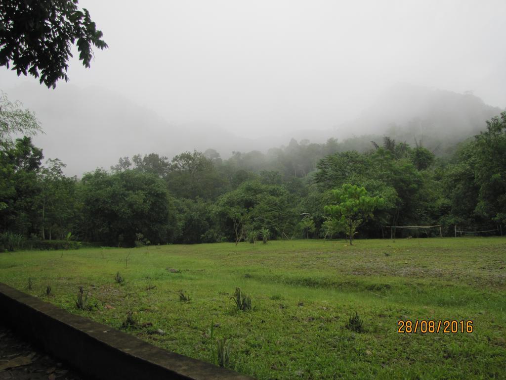 Batu Kapal Guest House & Jungle Trekking بوكيت لاوانج المظهر الخارجي الصورة