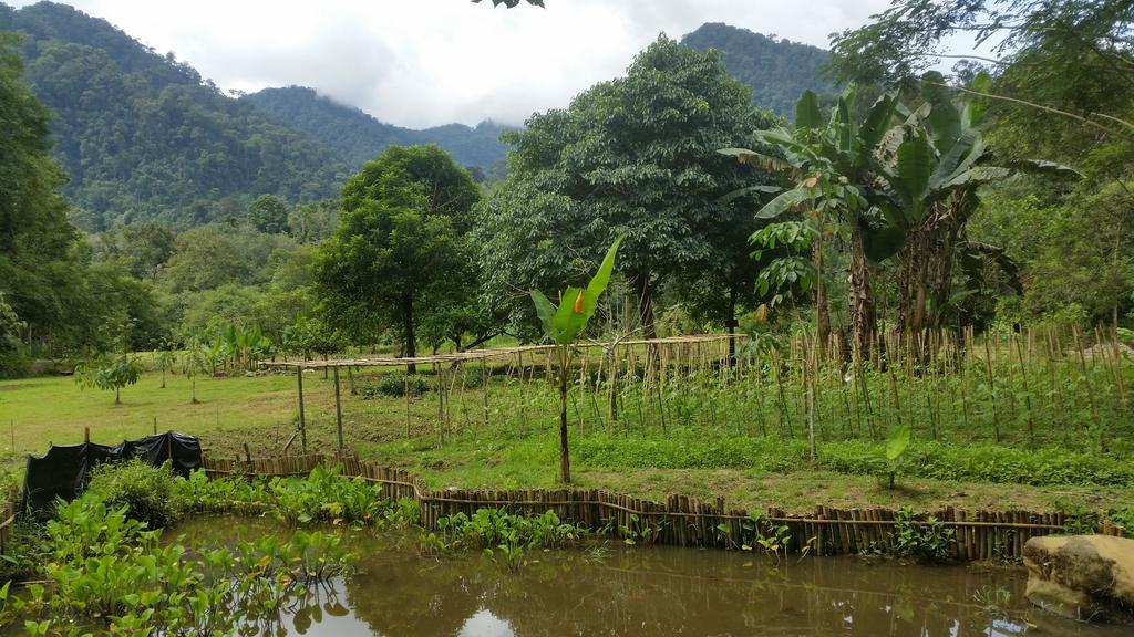 Batu Kapal Guest House & Jungle Trekking بوكيت لاوانج المظهر الخارجي الصورة