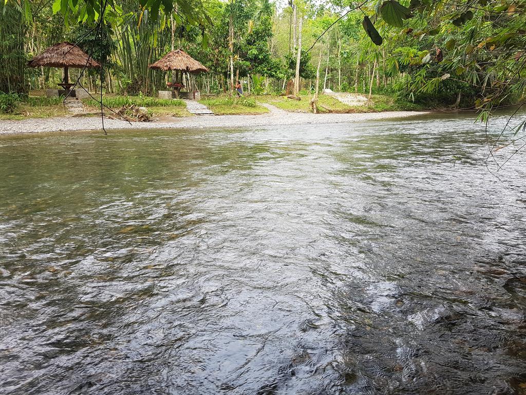 Batu Kapal Guest House & Jungle Trekking بوكيت لاوانج المظهر الخارجي الصورة
