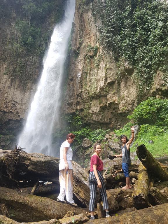 Batu Kapal Guest House & Jungle Trekking بوكيت لاوانج المظهر الخارجي الصورة