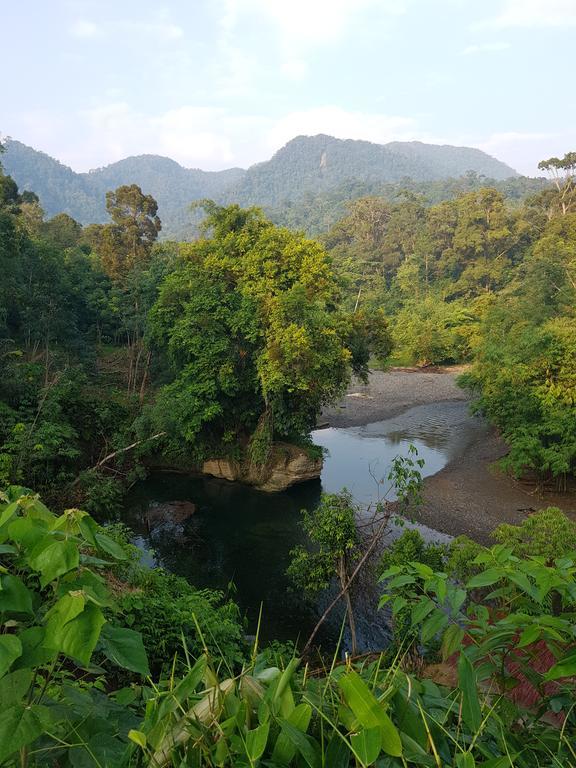 Batu Kapal Guest House & Jungle Trekking بوكيت لاوانج المظهر الخارجي الصورة