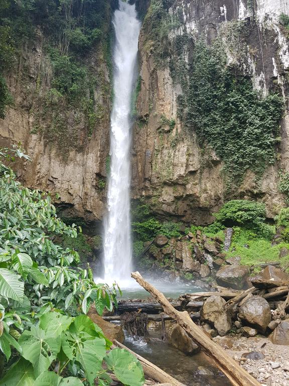Batu Kapal Guest House & Jungle Trekking بوكيت لاوانج المظهر الخارجي الصورة