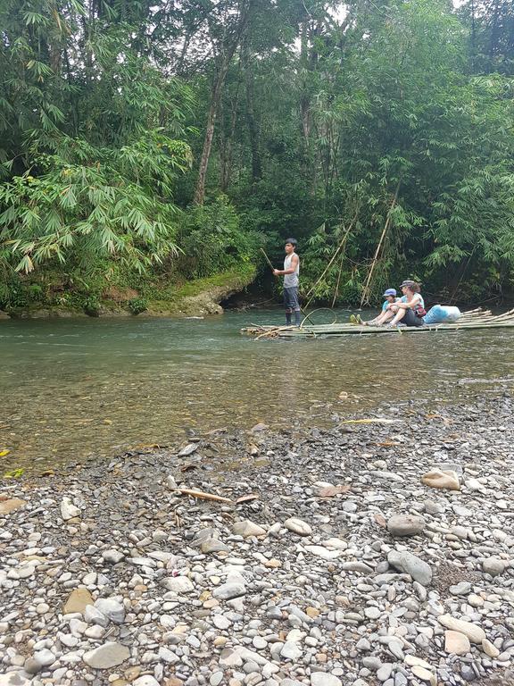 Batu Kapal Guest House & Jungle Trekking بوكيت لاوانج المظهر الخارجي الصورة